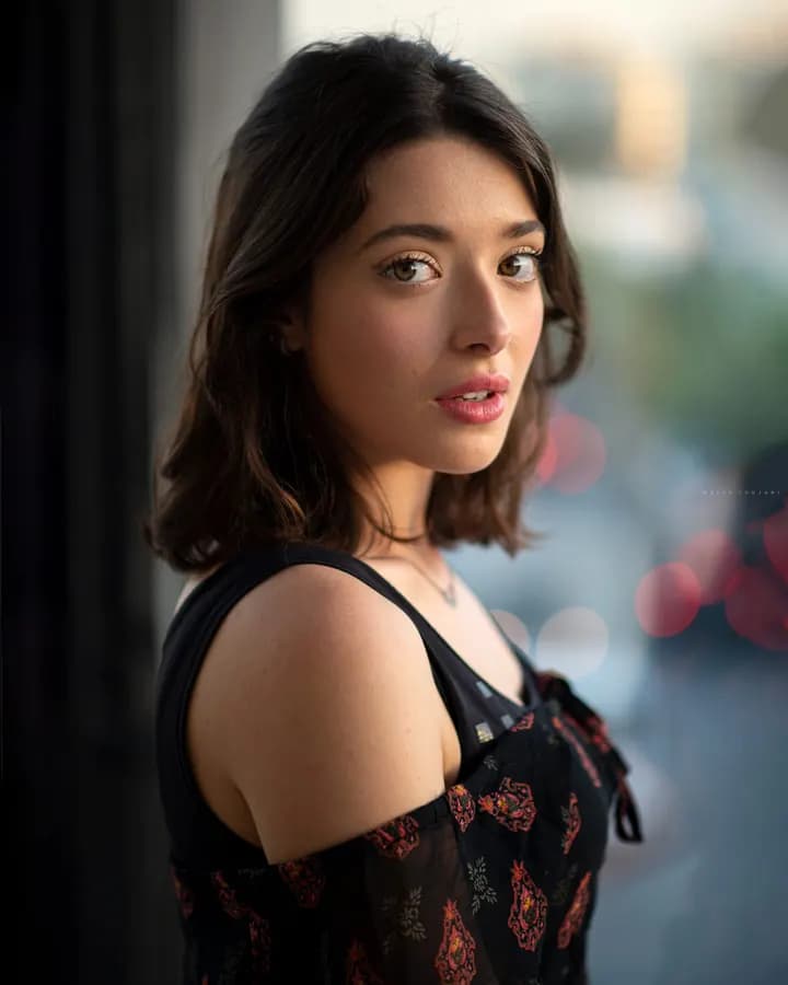 Window light